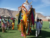 Rageelo Rajasthan